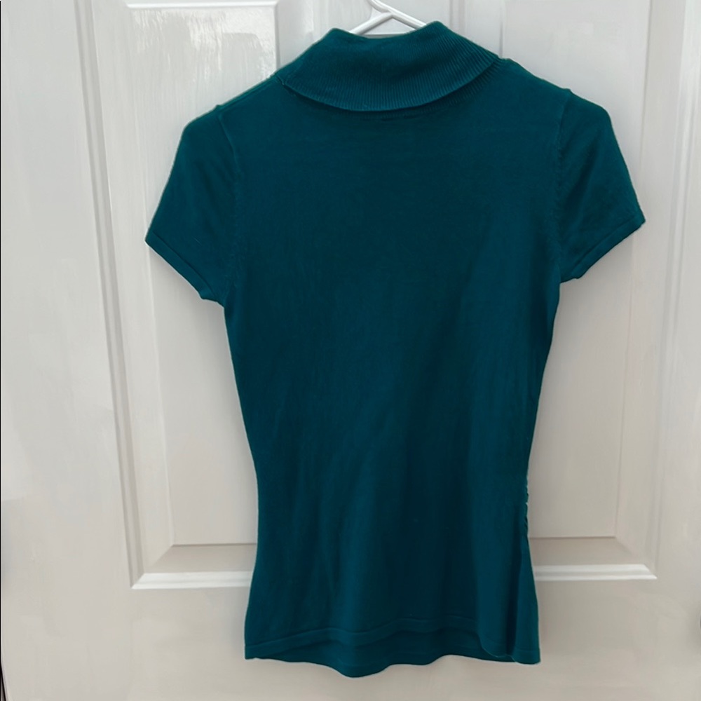 Teal Anne Taylor Petite Short Sleeve Women's Turtleneck Sweater - Picture 3 of 3